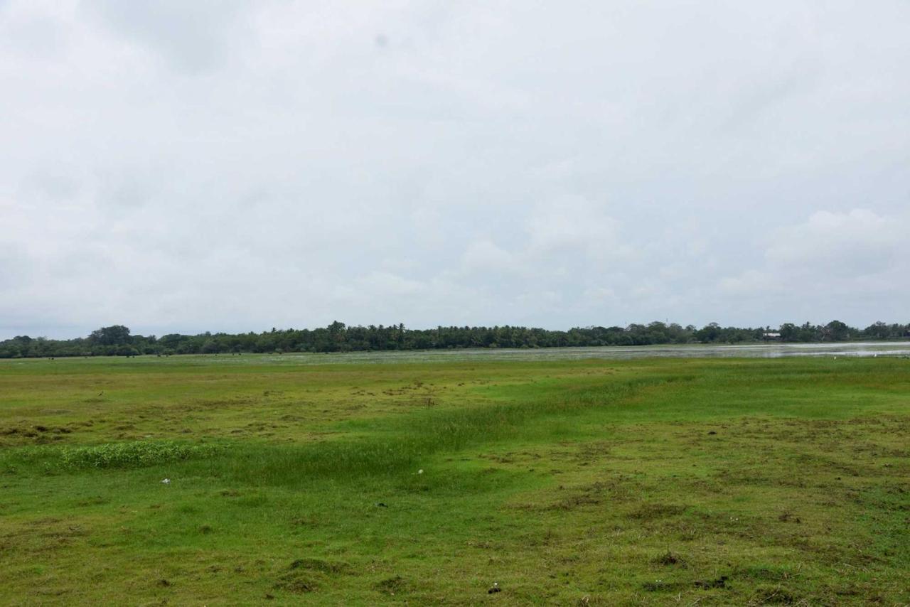 Dula Lake Resort Anuradhapura Luaran gambar